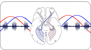 randy clusiau's story